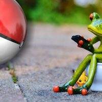 Pokemon Home Error 800