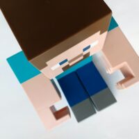 Minecraft character